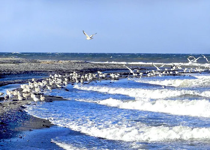 Ferienhaus Strandhaus Humboldt Teichhof Fehmarn *